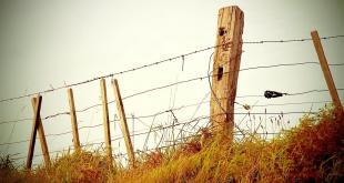 Take Advantage Of The Falling Stock Market 2 – Fence Filtered