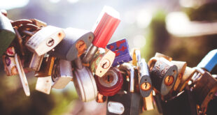 Which Company Would You Choose? 2 – lock